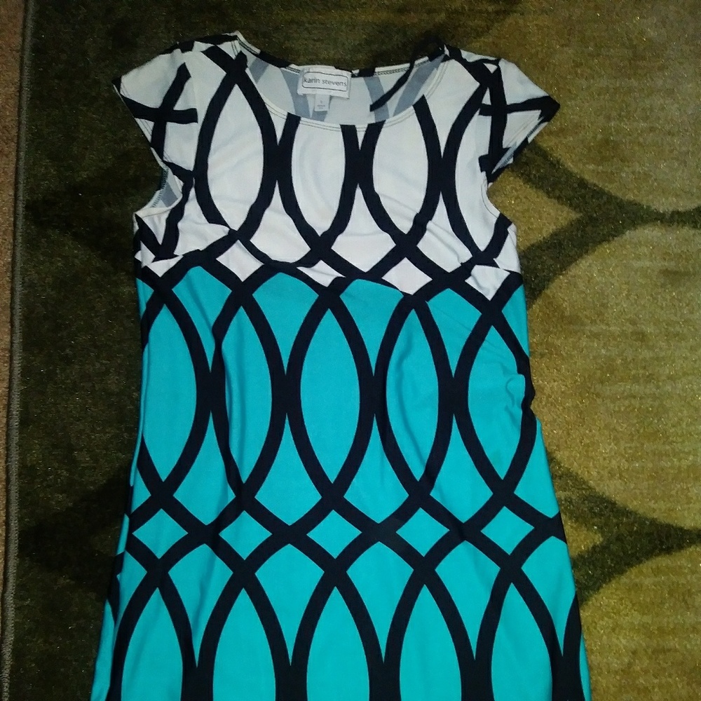 Karin Stevens dress